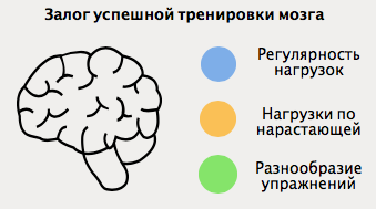 Составляющие тренировки мозга